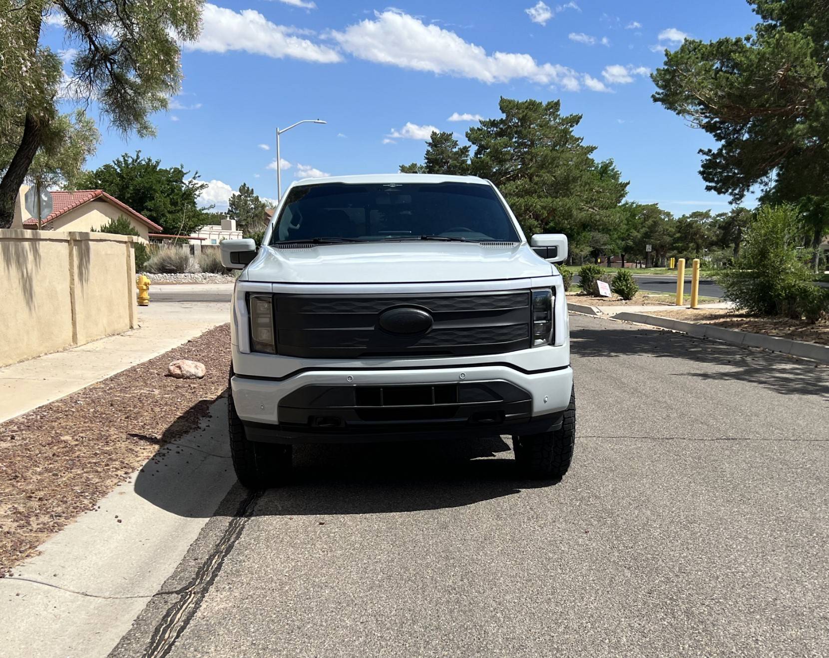 Ford F-150 Lightning Leveled Avalanche Lightning (Eibach Stage 1 & 35" Wild Peaks) 06 - Front