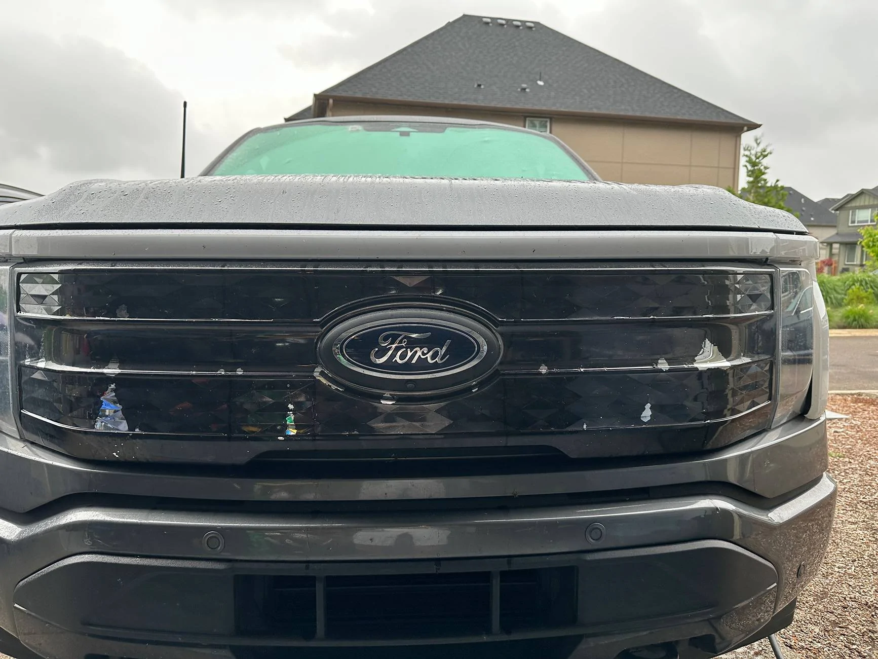 Ford F-150 Lightning Flaking on Lightning Front Grille IMG_0239