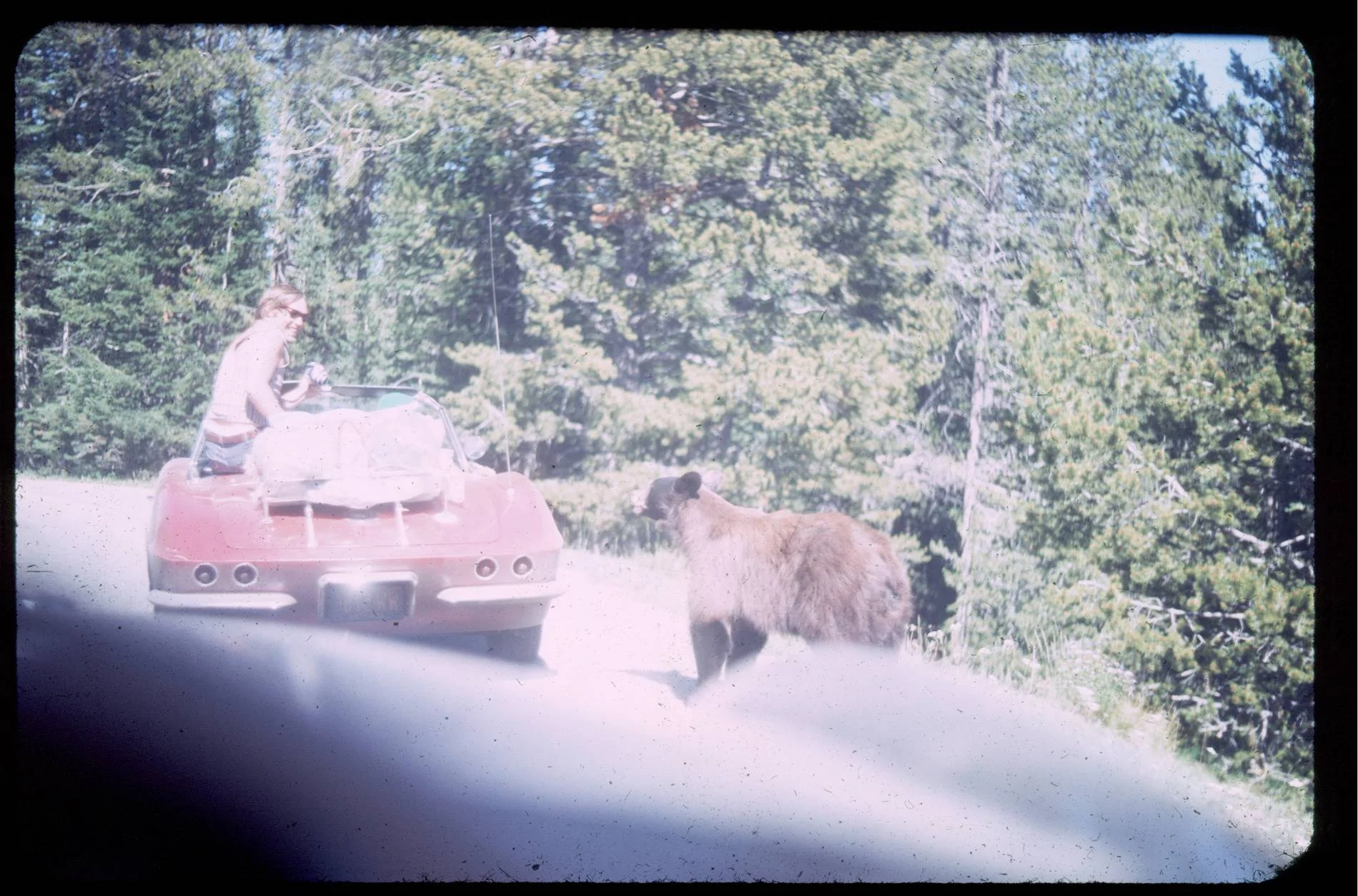 Ford F-150 Lightning FCSP "Charge Station Faulted" 1971 bear-meets-corvett