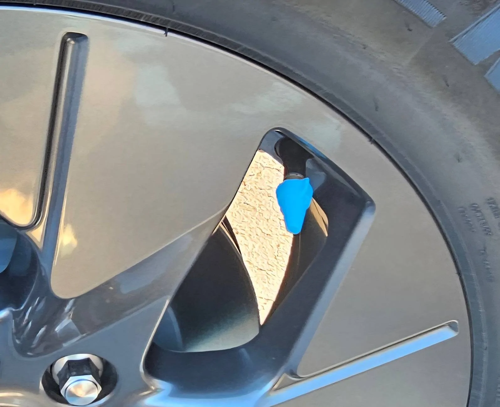 Ford F-150 Lightning Tire valve step caps 20241223_135928(1)