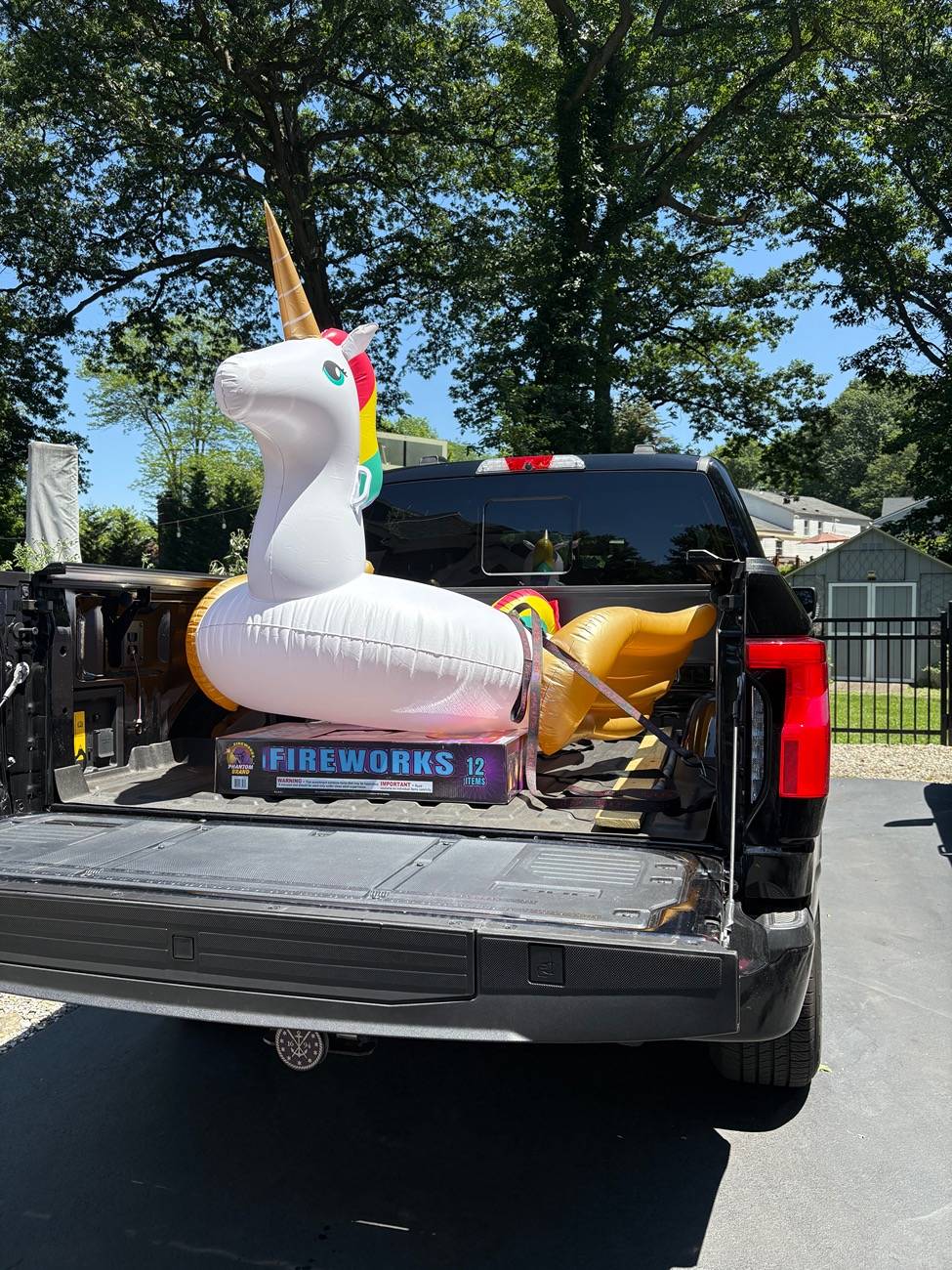 Ford F-150 Lightning Pics of Lightning Trucks Doing Truck Things. Post Yours! 📸 IMG_3678
