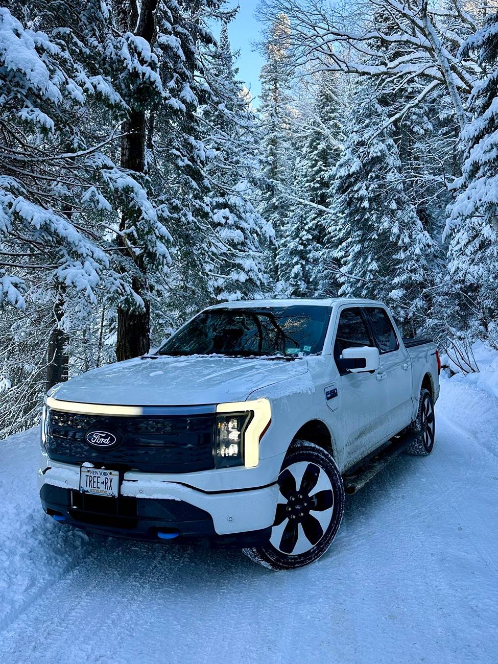 Ford F-150 Lightning Introductions & Welcome Thread 👋 IMG_7821