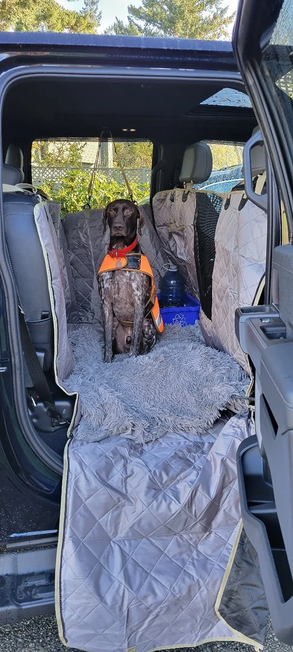 Ford F-150 Lightning Post a pic of your Dog in your new Lightning 😁 20231113_113224