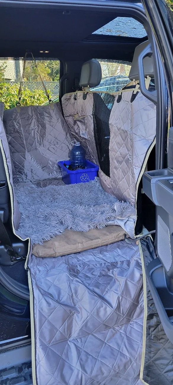 Ford F-150 Lightning Post a pic of your Dog in your new Lightning 😁 20231113_113150