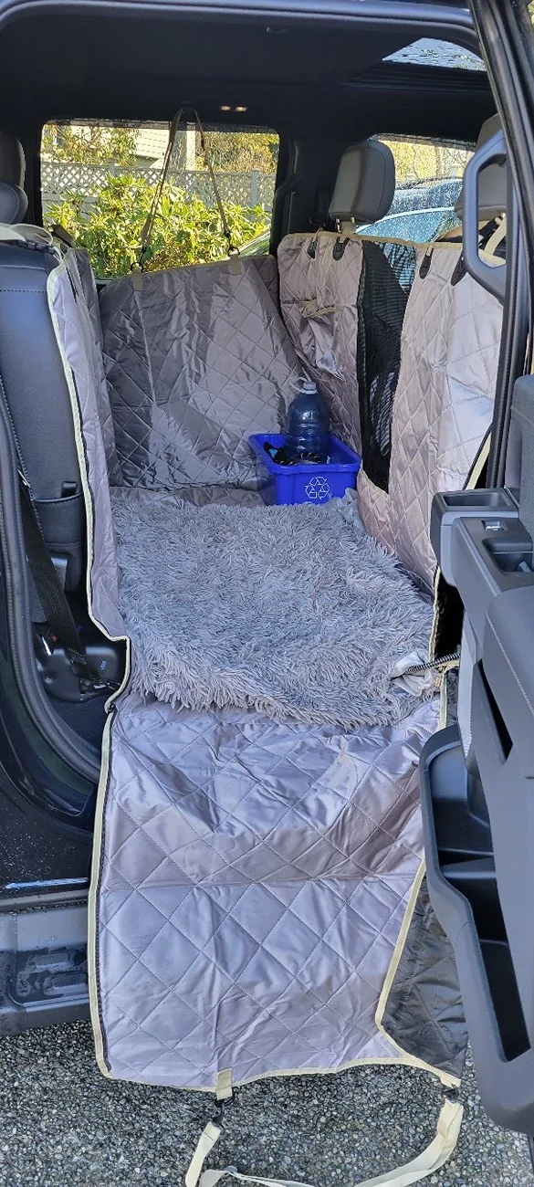 Ford F-150 Lightning Post a pic of your Dog in your new Lightning 😁 20231113_113048