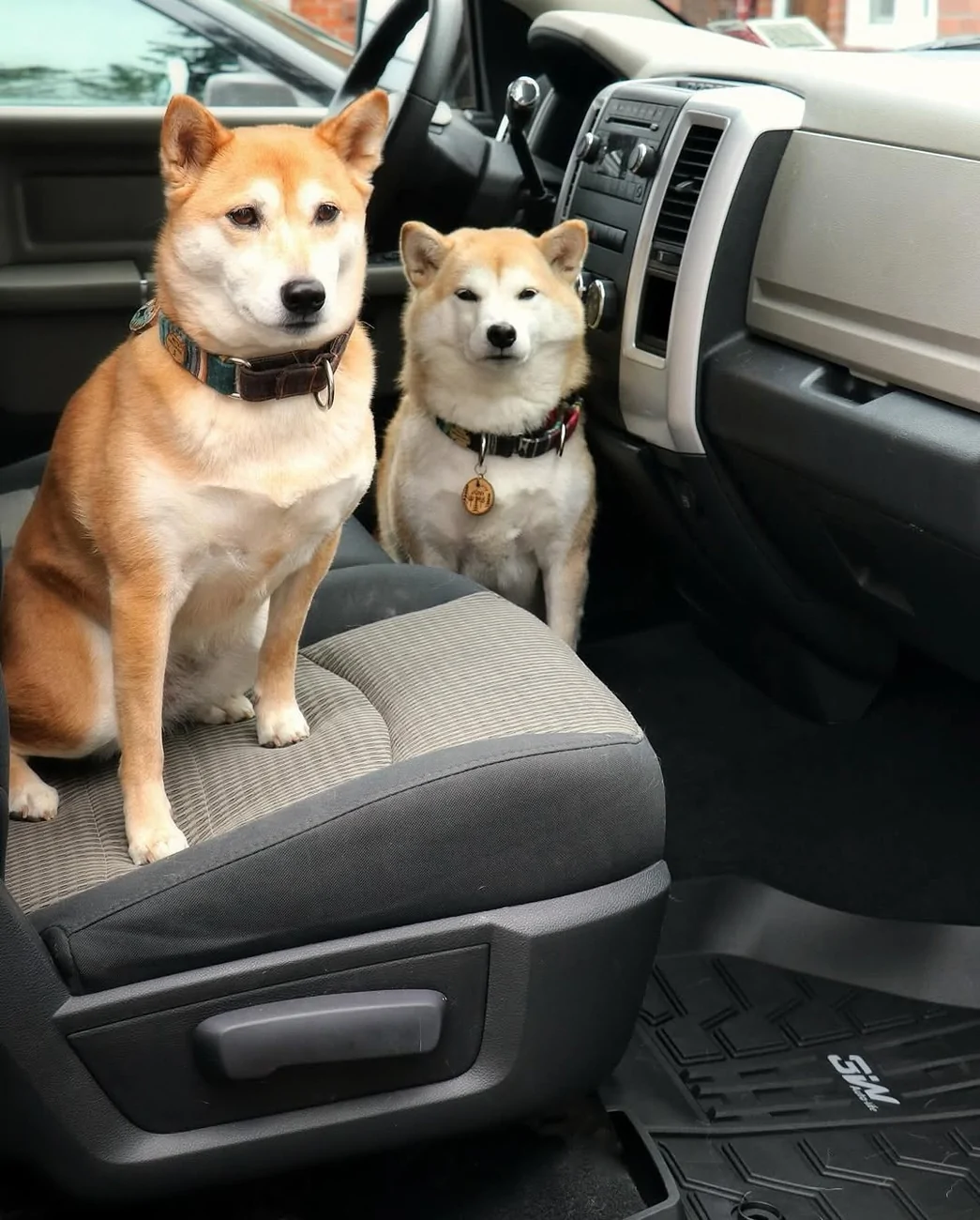 akira_and_juni (2).webp