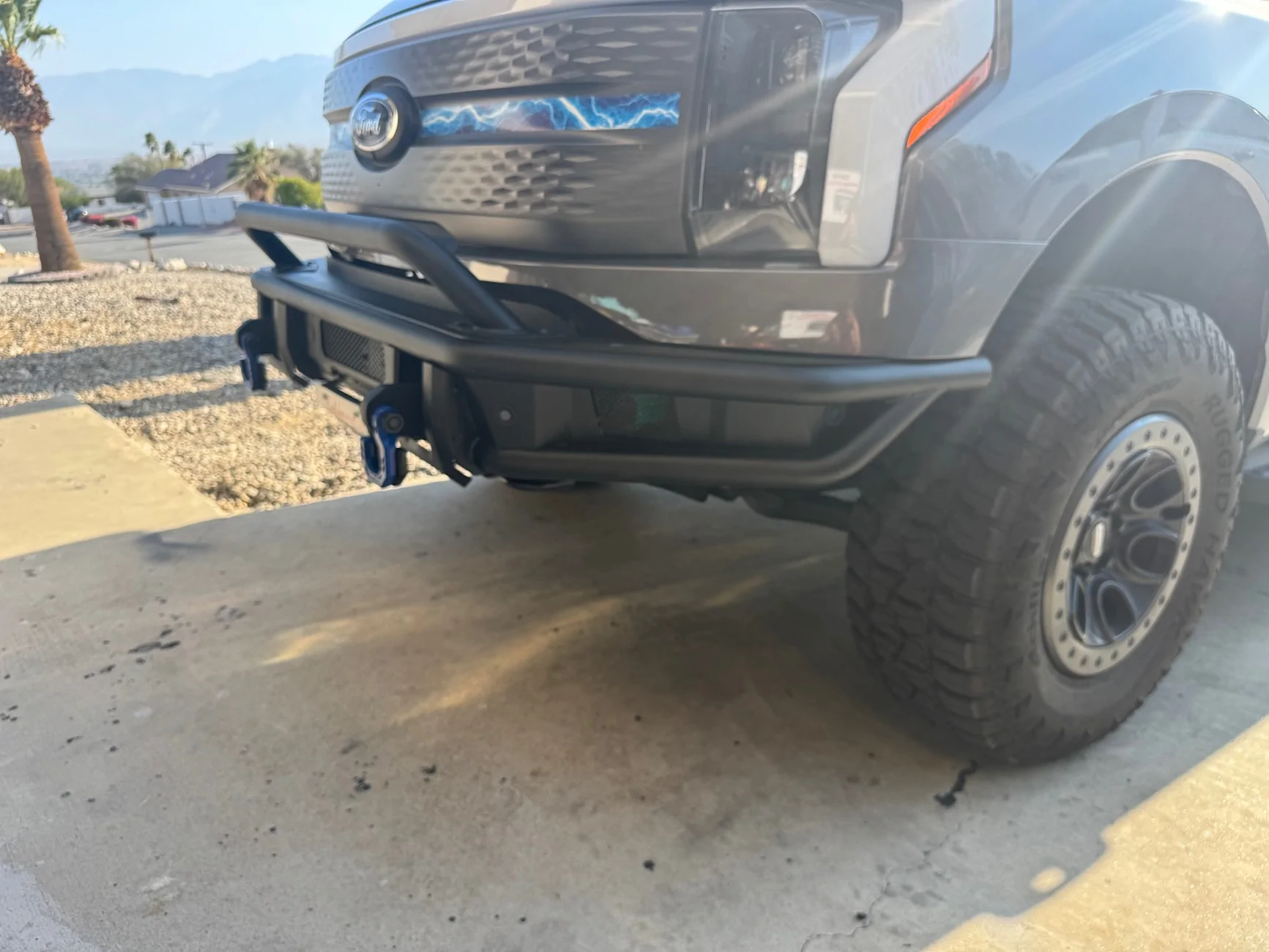 Ford F-150 Lightning Front grill guard options? IMG_5941