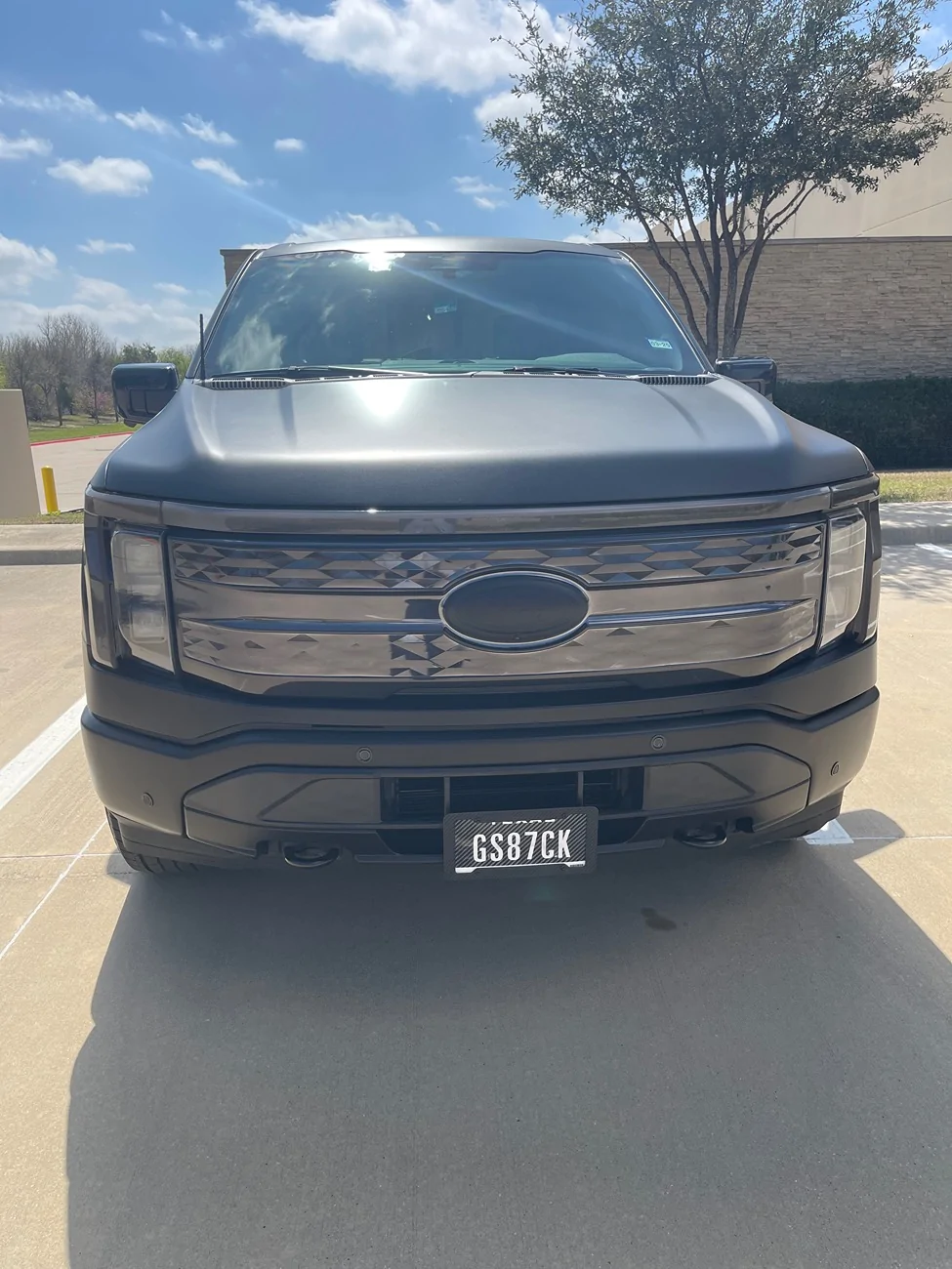 Ford F-150 Lightning Black Grill to replace grey boring OEM (yes, I've seen the wrapped photo) IMG_7948