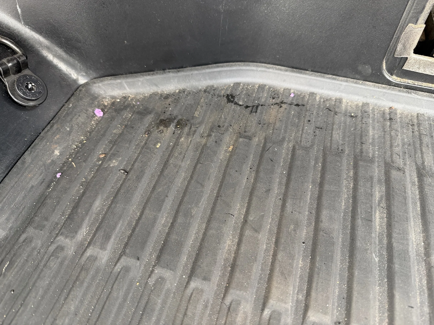 Ford F-150 Lightning MICE IN THE FRUNK!! IMG_0063