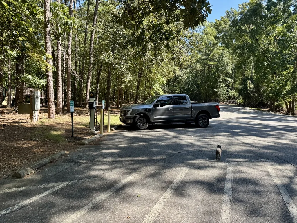 Ford F-150 Lightning SE FL -> Western NC -> Charleston SC -> SE FL 84760FB0-C7F6-411F-99A0-63A0A8512163_1_105_c