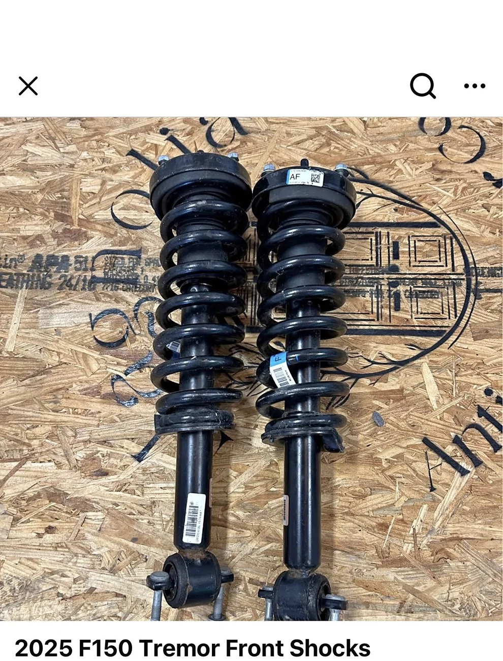 Ford F-150 Lightning F150 Tremor Front Coilovers - will it work on Lightning Flash? IMG_0713