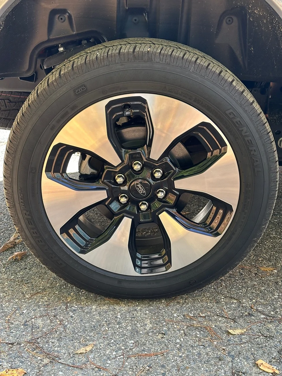 Ford F-150 Lightning 2024 Platinum Wheels & Tires IMG_6416