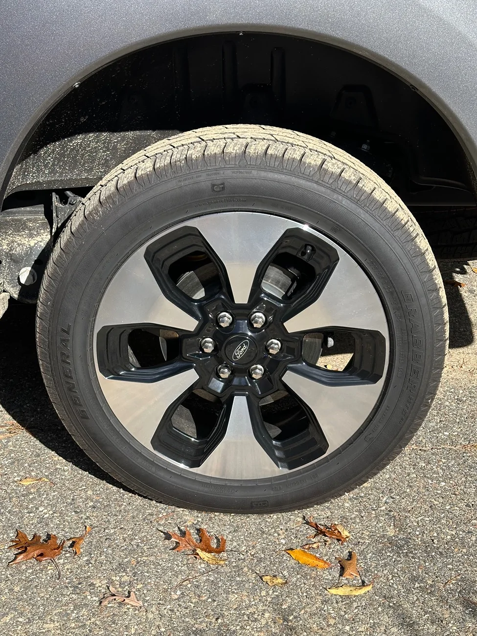 Ford F-150 Lightning 2024 Platinum Wheels & Tires IMG_6411