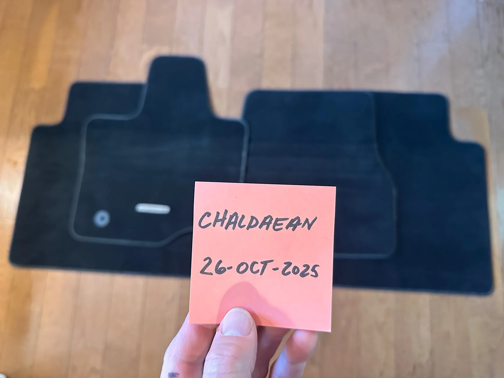 Ford F-150 Lightning OEM floor mats from 2024 Platinum IMG_6394