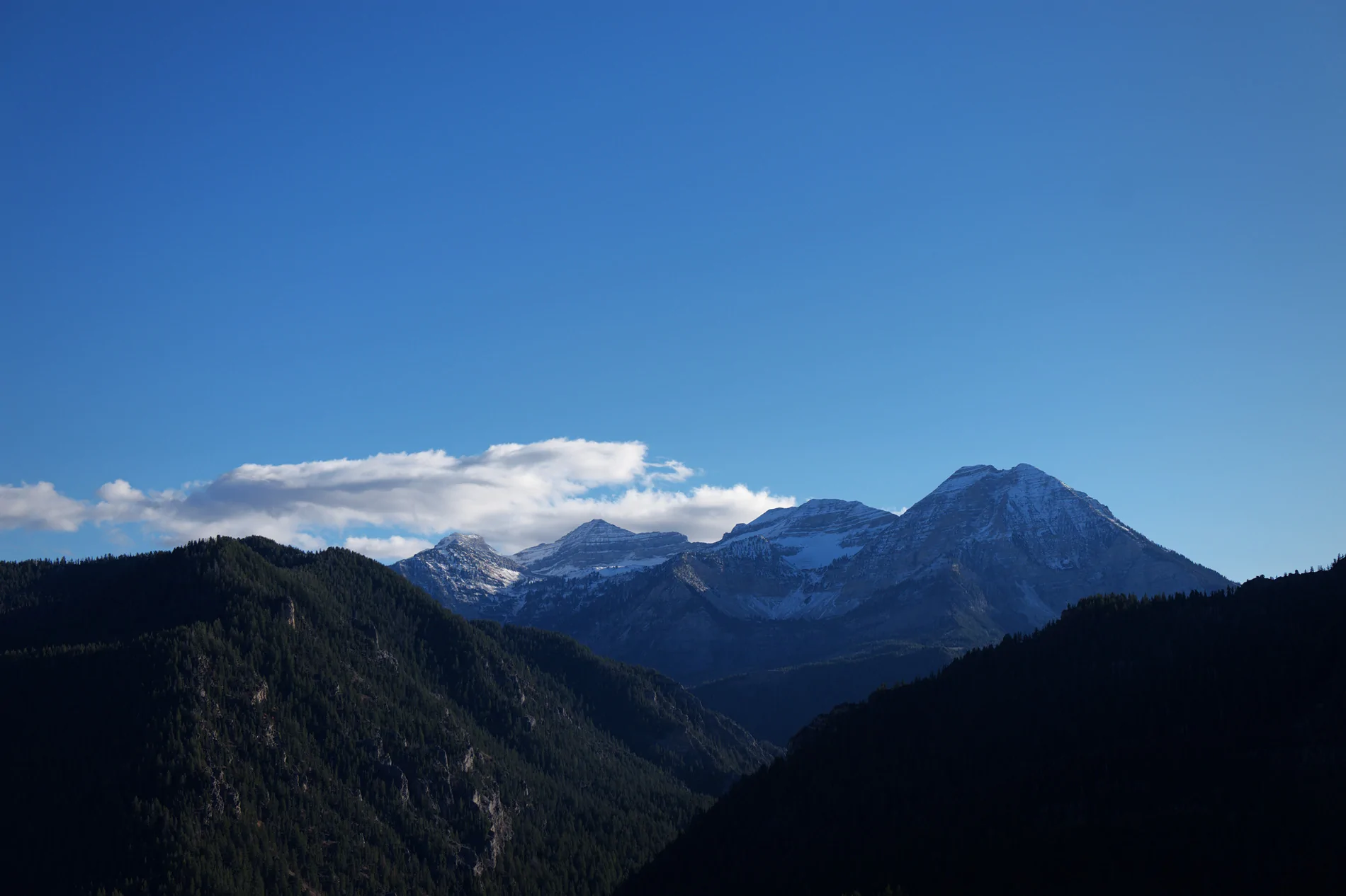Ford F-150 Lightning Took the lightning for a nice drive today - Photo Shoot PACA5759,RW2_edited