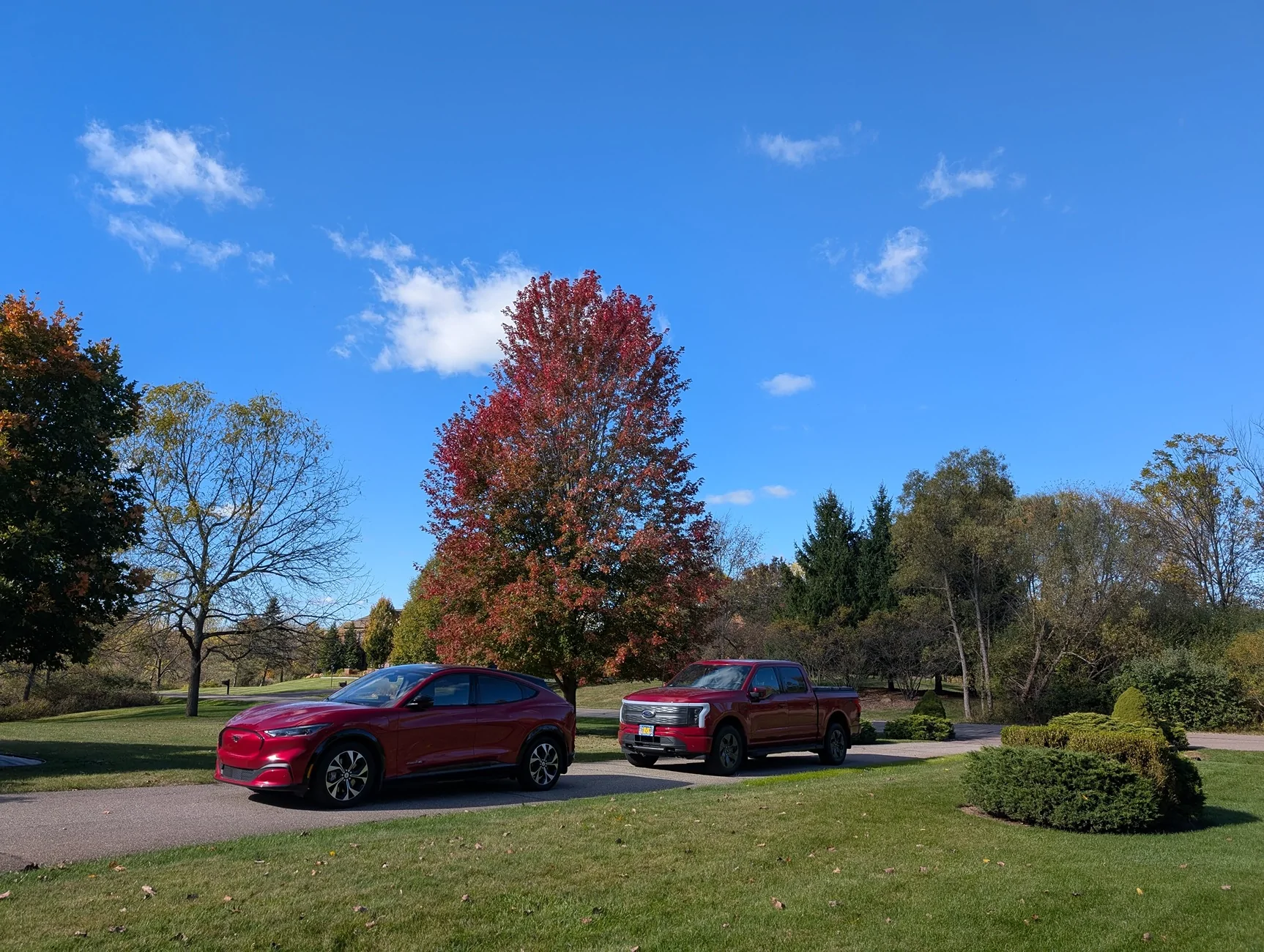 Ford F-150 Lightning SHOW US ALL YOUR FORDS…. 10-15-25