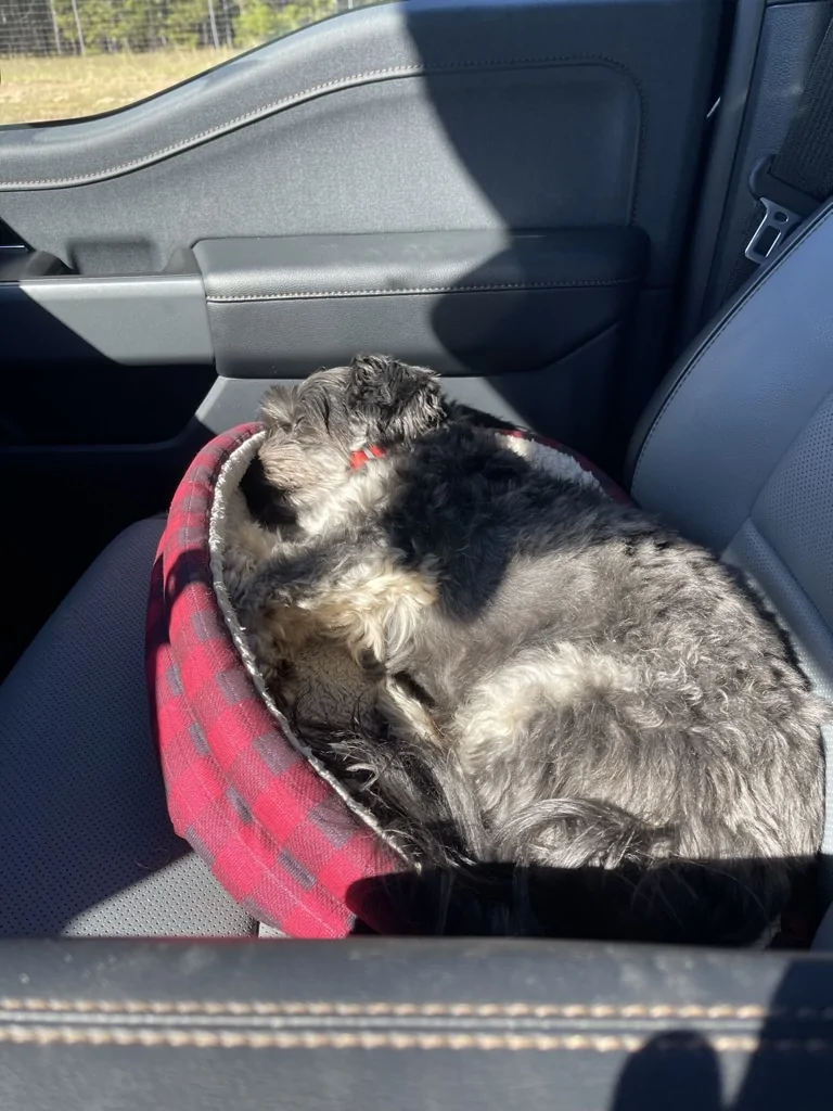 Ford F-150 Lightning Show us your copilot. 923ABB65-75E5-4E89-9877-5D1651709751_1_105_c