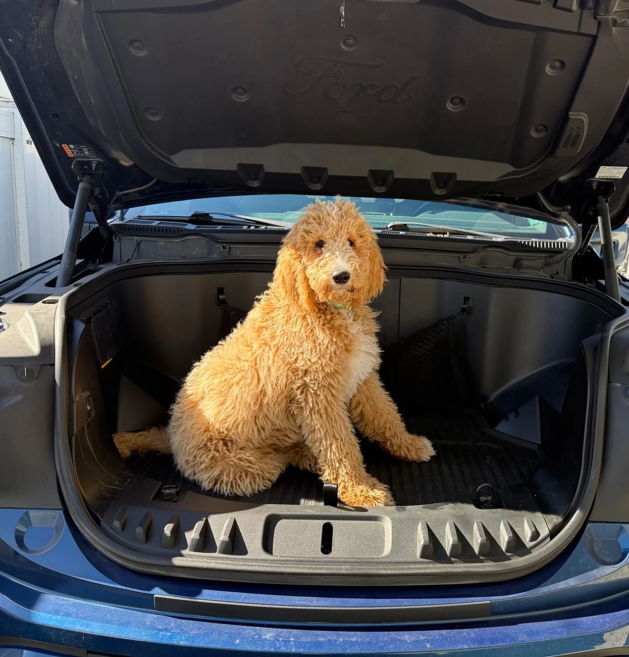 Ford F-150 Lightning Show us your copilot. IMG_3073