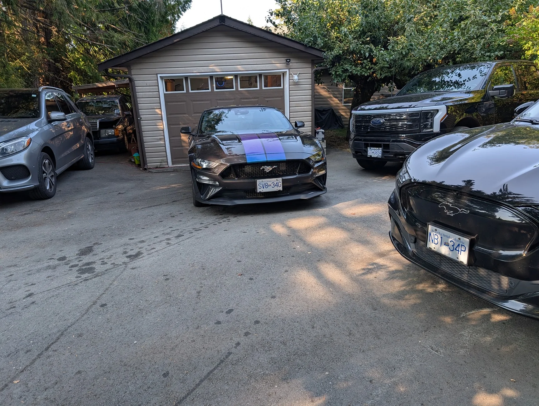 Ford F-150 Lightning SHOW US ALL YOUR FORDS…. 70182926-715b-44ab-a9dd-e3dc1c512fa9-1_all_12730