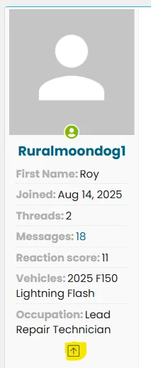 Ford F-150 Lightning SYNC Update 25.2.4.9 APIM 1763053034949-5j