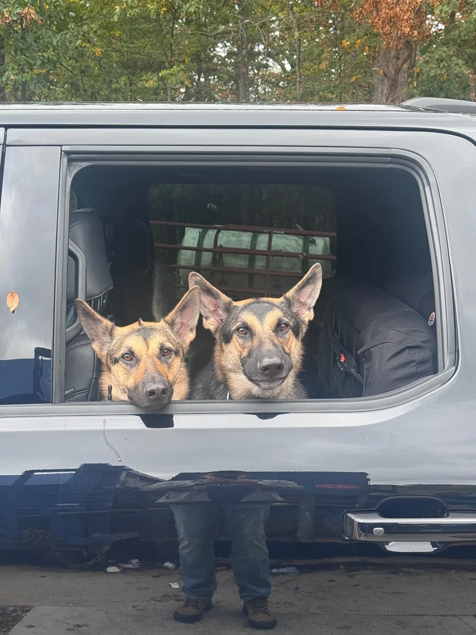 Ford F-150 Lightning Post a pic of your Dog in your new Lightning 😁 IMG_7115