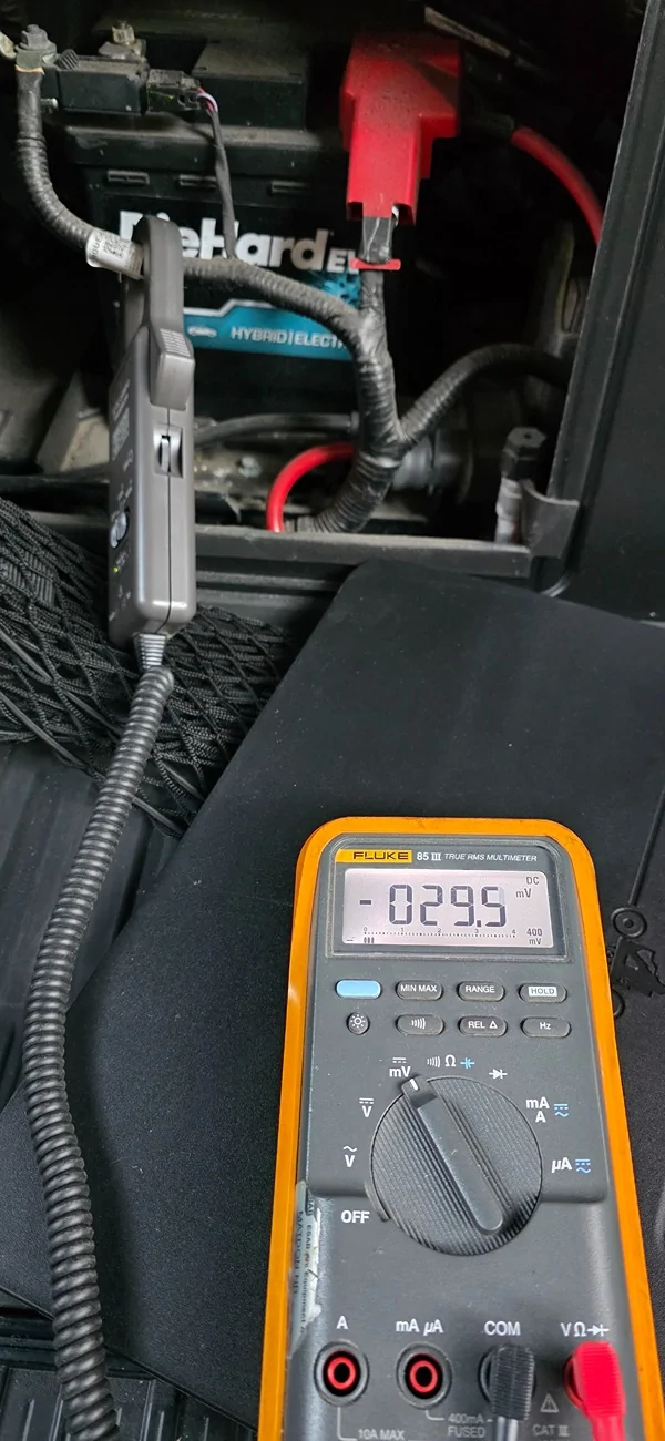 Ford F-150 Lightning 12V battery replacement poll 1763817588096-3x