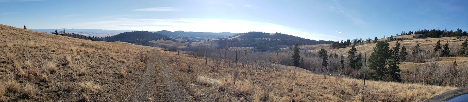 Ford F-150 Lightning Show a picture from your daily commute!.. 1763839368972-3s