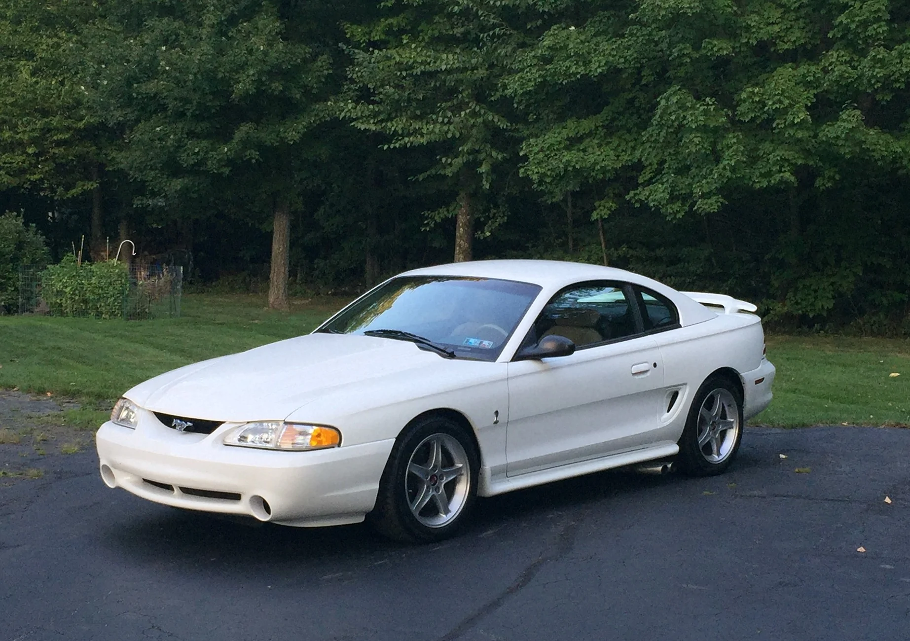 Ford F-150 Lightning SHOW US ALL YOUR FORDS…. 95R 2