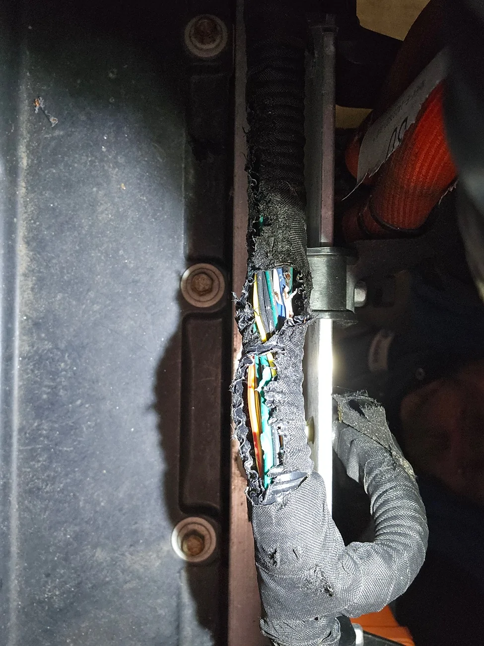 Ford F-150 Lightning Trailer Brake System Fault rodent damage post #24 110000098539297