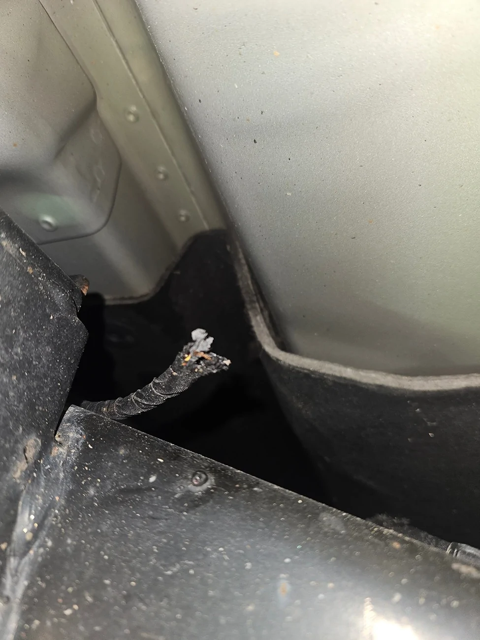 Ford F-150 Lightning Trailer Brake System Fault rodent damage post #24 110000098539331