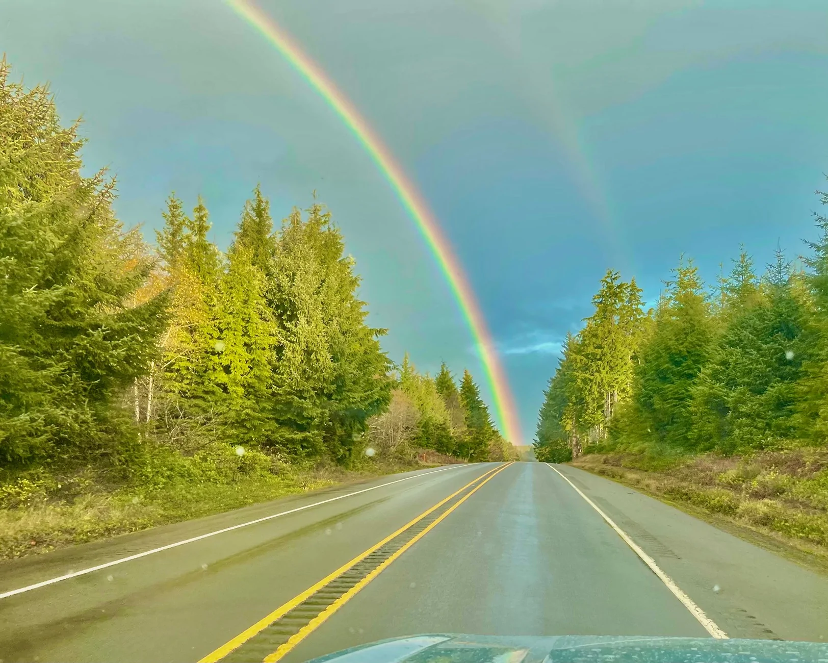 Ford F-150 Lightning Lightning Commuter rolls over 54,000 miles. IMG_2065