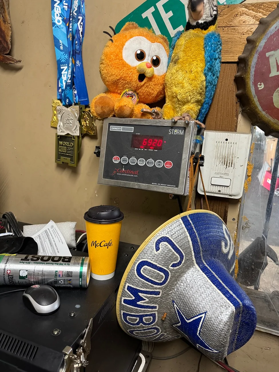 Ford F-150 Lightning Interesting Article On Current Guardrails Vs EVs IMG_1564