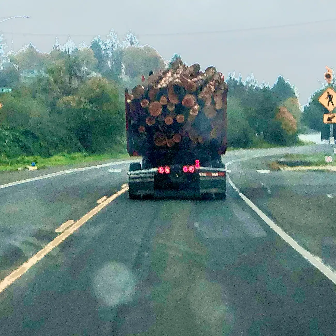 Ford F-150 Lightning A Lightning tale from the road… 1766897387490-1f