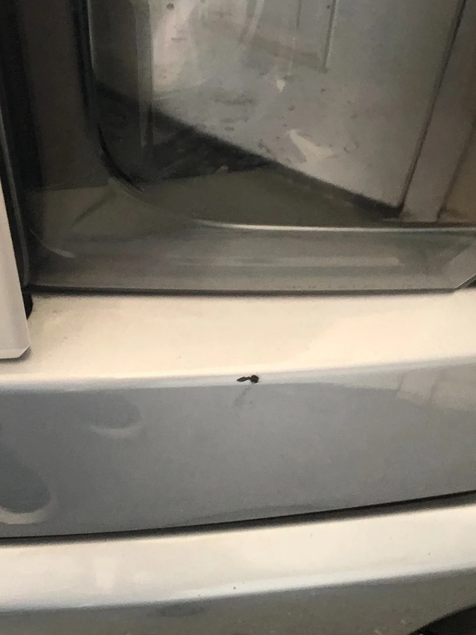 Ford F-150 Lightning Peeling paint IMG_1915