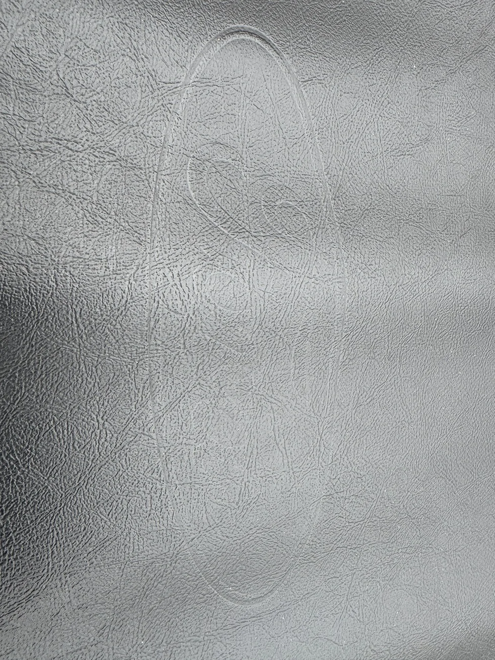 Ford F-150 Lightning FS: Ford OEM F150 2016-2026 5.5 Ft Bed Soft Roll Up Cover IMG_5747