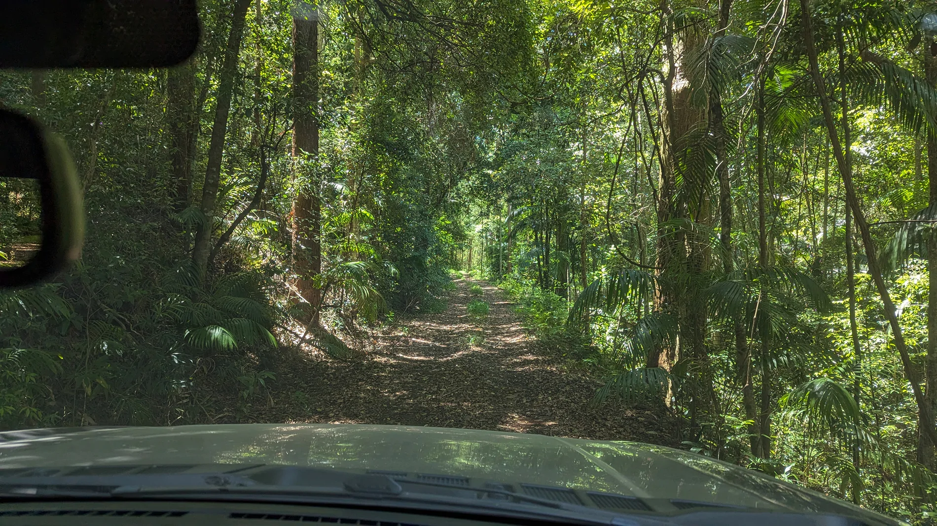 Ford F-150 Lightning Thunderbolt returns to Bellthorpe National Park (Pics and Videos) PXL_20251230_005348363
