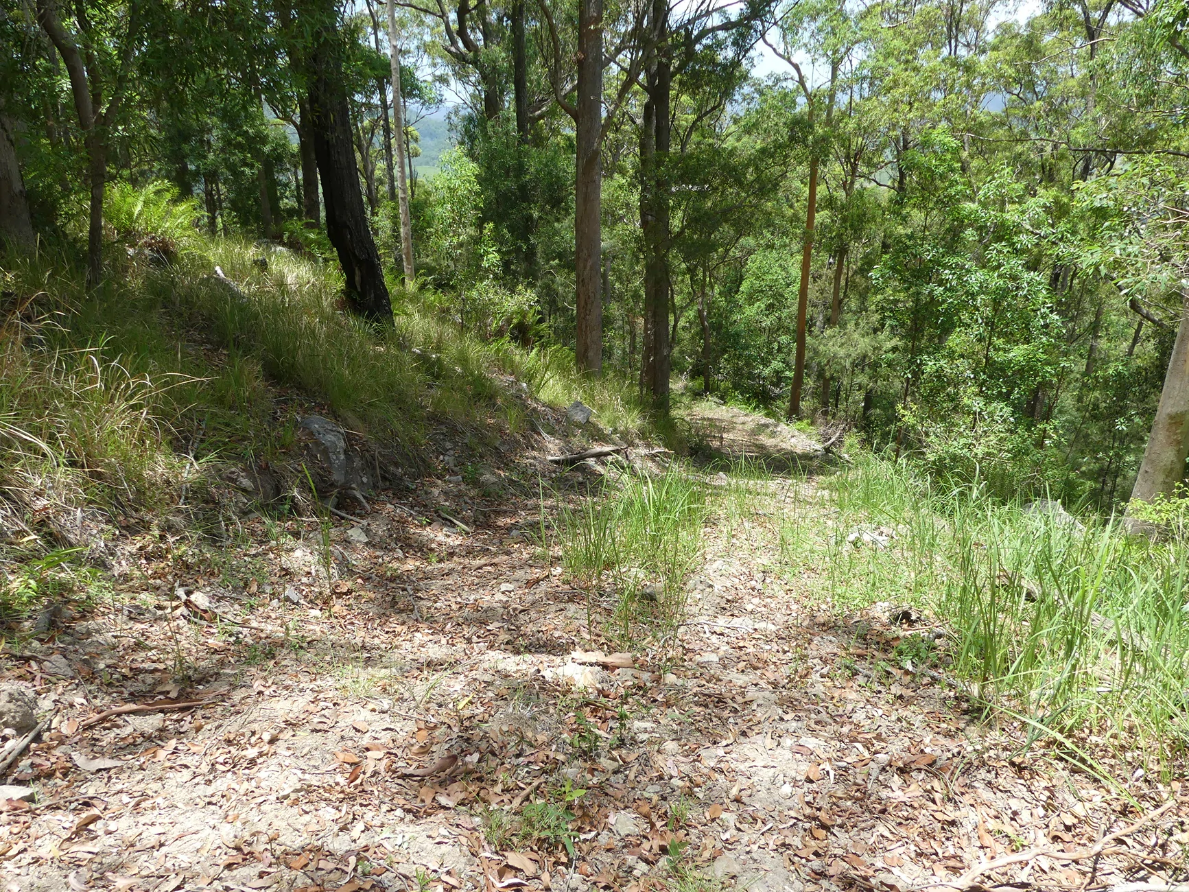 Ford F-150 Lightning Thunderbolt returns to Bellthorpe National Park (Pics and Videos) P1120332