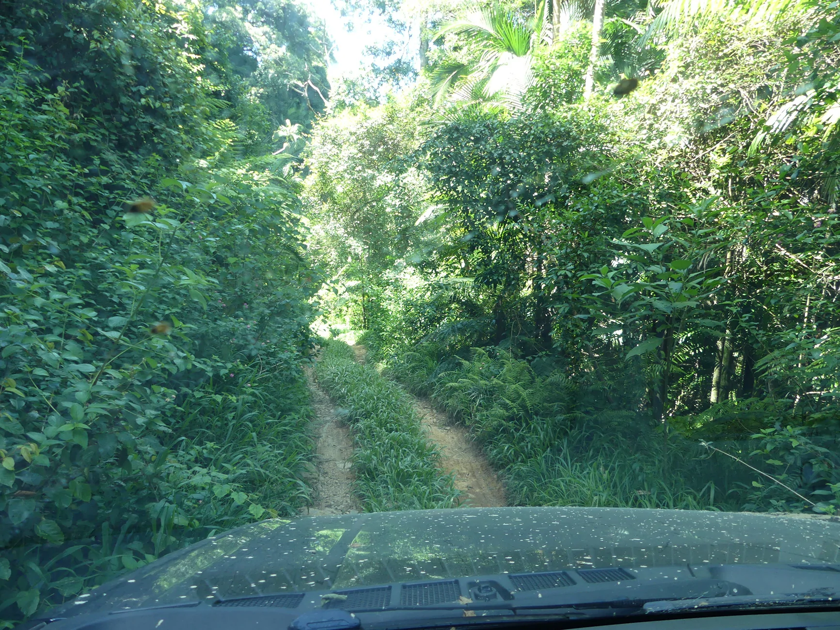 Ford F-150 Lightning Thunderbolt returns to Bellthorpe National Park (Pics and Videos) P1120366