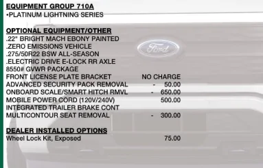 Ford F-150 Lightning Is This Petty? 1767575573885-u