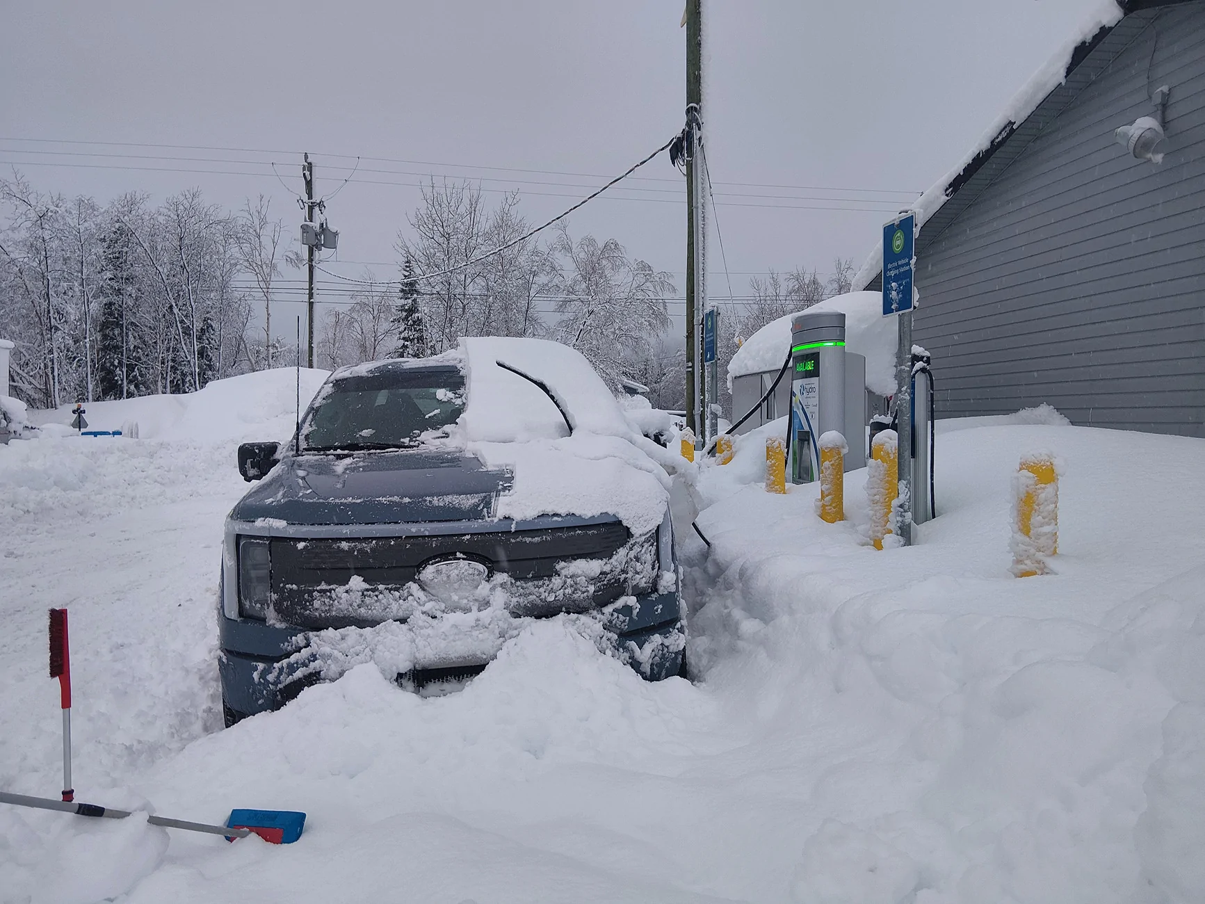 Ford F-150 Lightning Newfoundland, Canada in December = two blizzards, three moose and four herds of caribou. 20251228_090839