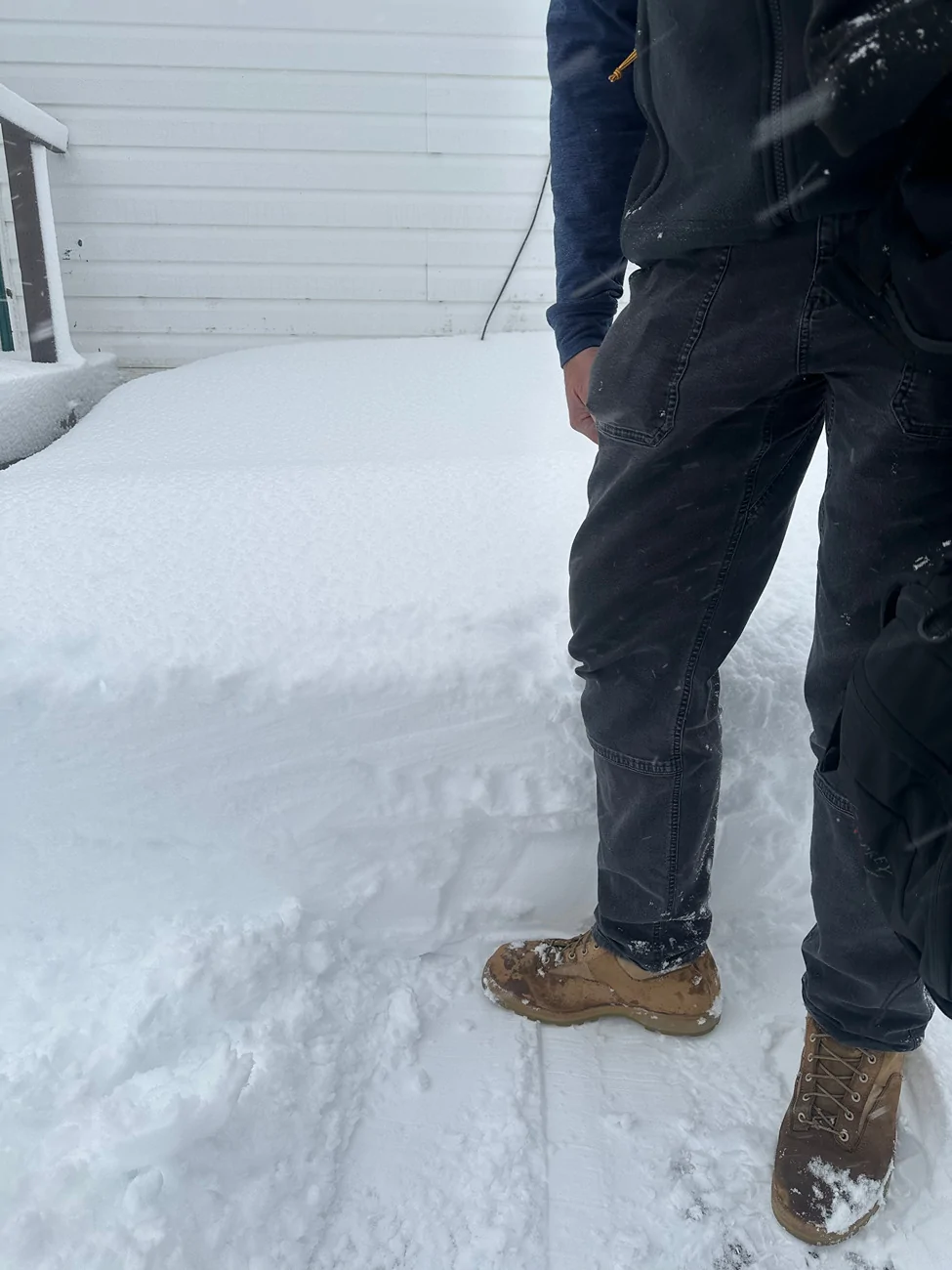 Ford F-150 Lightning Newfoundland, Canada in December = two blizzards, three moose and four herds of caribou. Zdjęcie 27.12.2025, 15 21 43