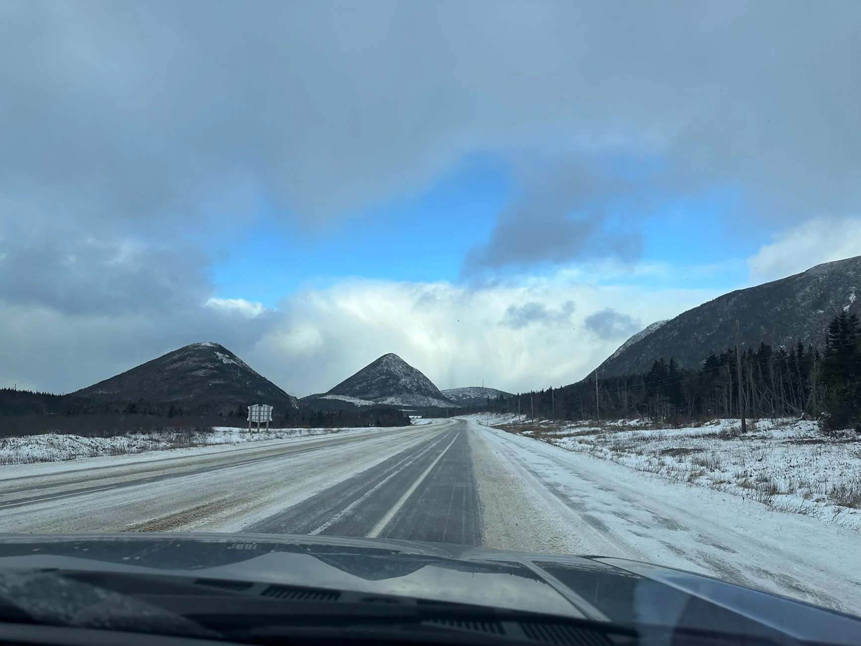 Ford F-150 Lightning Newfoundland, Canada in December = two blizzards, three moose and four herds of caribou. Zdjęcie 23.12.2025, 10 41 49