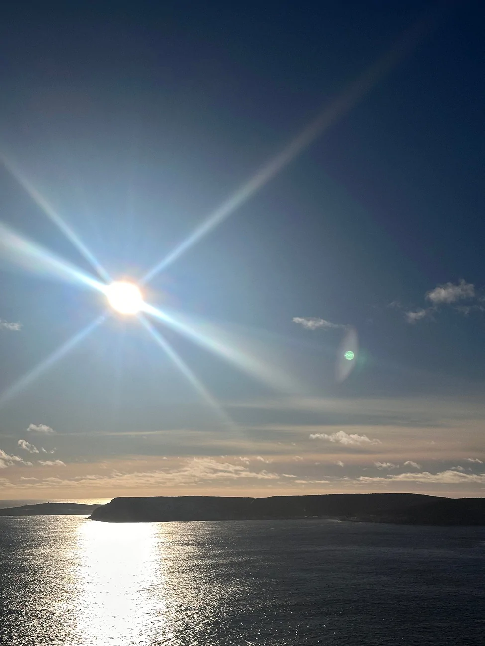 Ford F-150 Lightning Newfoundland, Canada in December = two blizzards, three moose and four herds of caribou. Zdjęcie 26.12.2025, 09 38 33