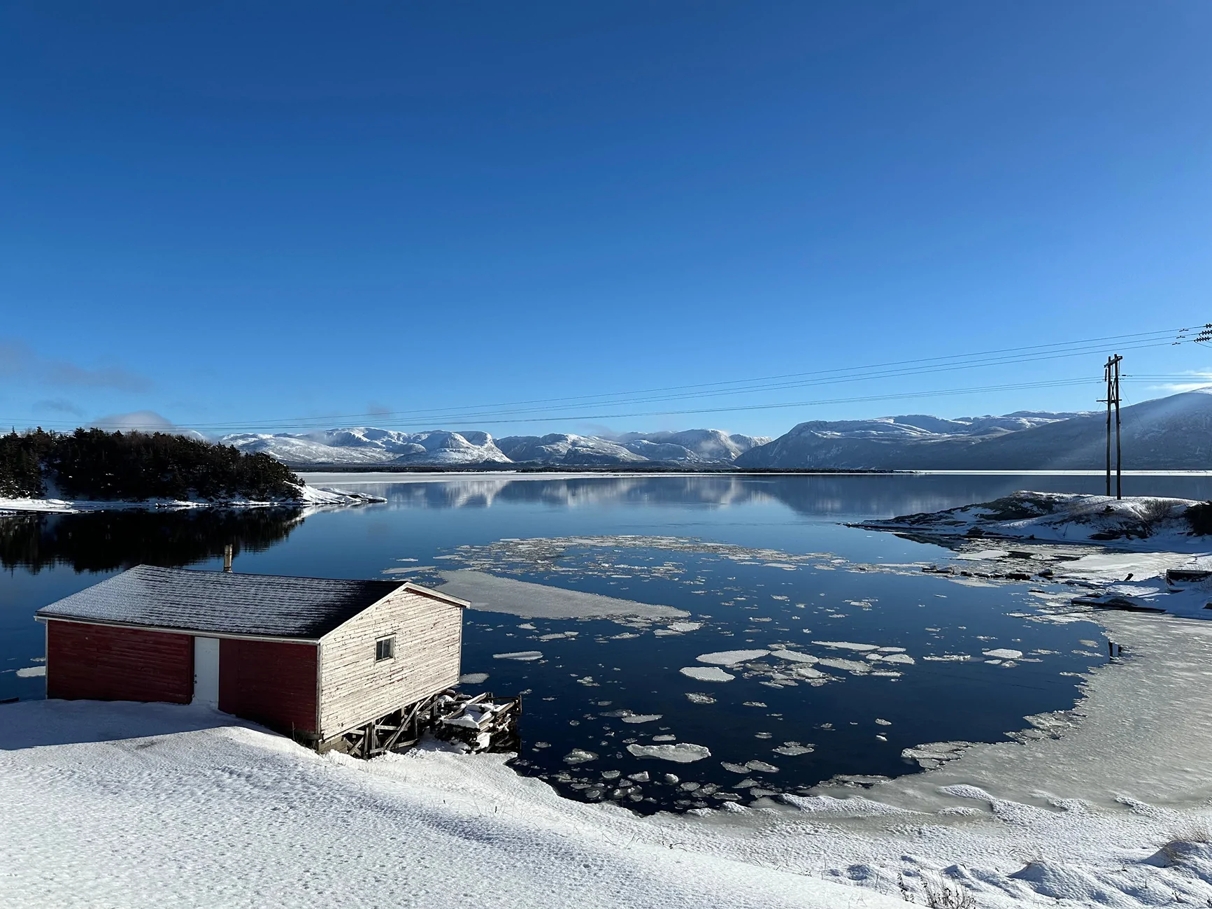 Ford F-150 Lightning Newfoundland, Canada in December = two blizzards, three moose and four herds of caribou. IMG_3057