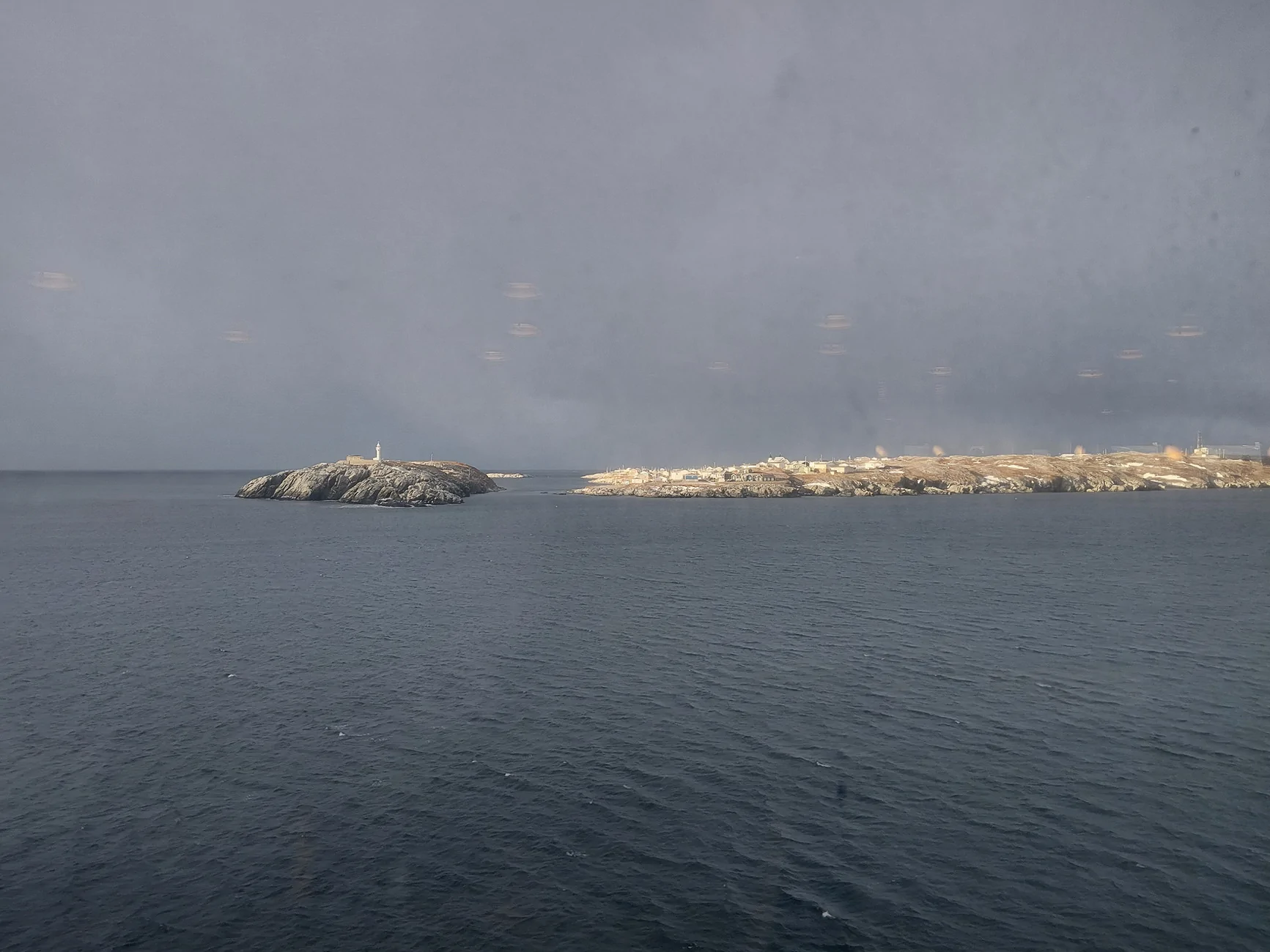 Ford F-150 Lightning Newfoundland, Canada in December = two blizzards, three moose and four herds of caribou. 20251223_093816