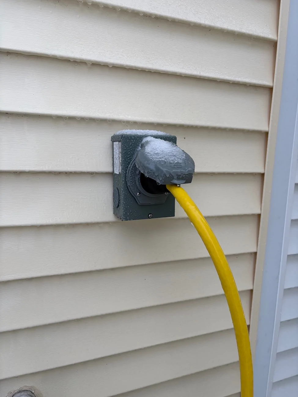 Ford F-150 Lightning Ruby vs Fern (A Winter Storm Tale of Survival w/ Pro Power Onboard) 1769606352022-y8