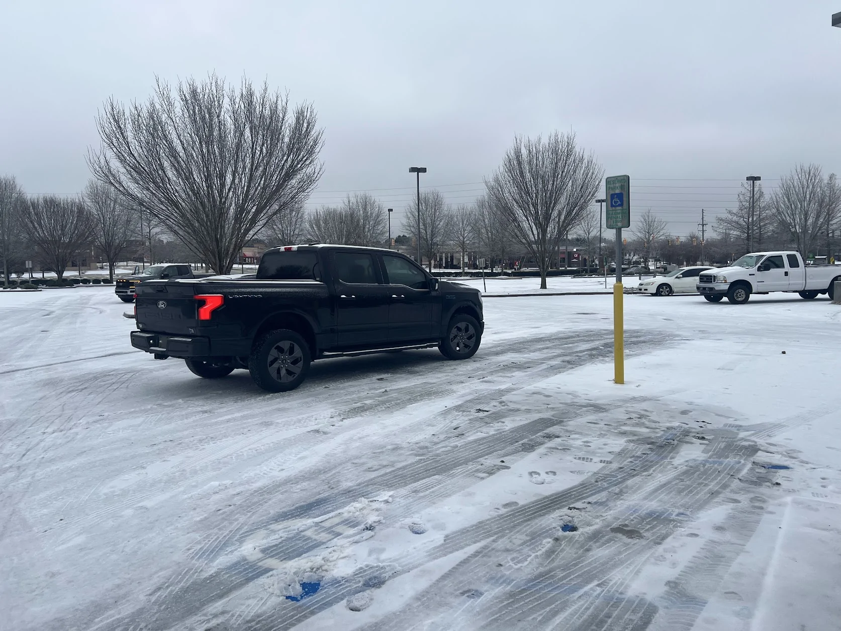 Ford F-150 Lightning Driving Lighting on ICE IMG_4770 (1)