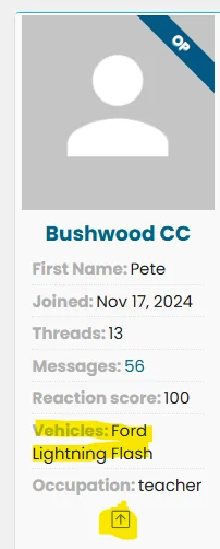 Ford F-150 Lightning Preparing for road trip 1769520333658-su