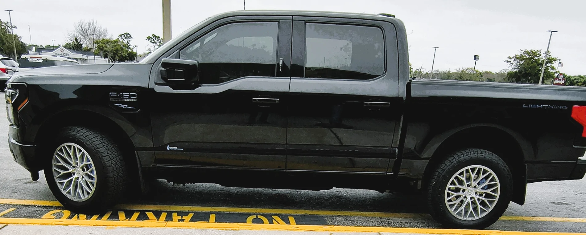 Ford F-150 Lightning I Love This Truck (Luna) 1770322317094-4r