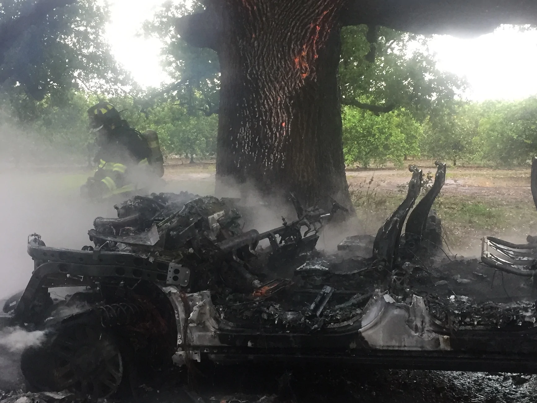 Ford F-150 Lightning My Lightning burned to the ground IMG_4064